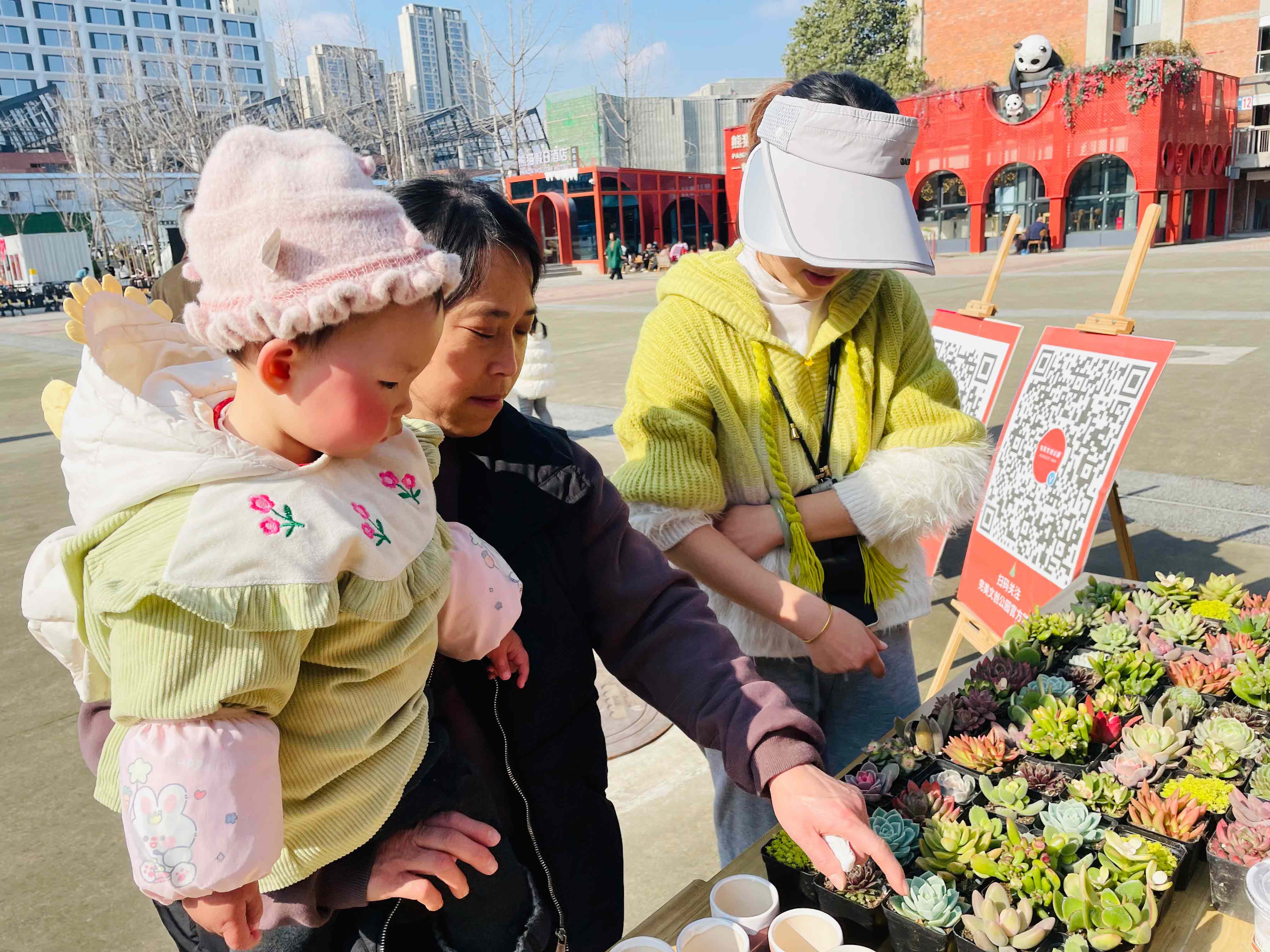 图片: 微信图片_20250226134819.jpg