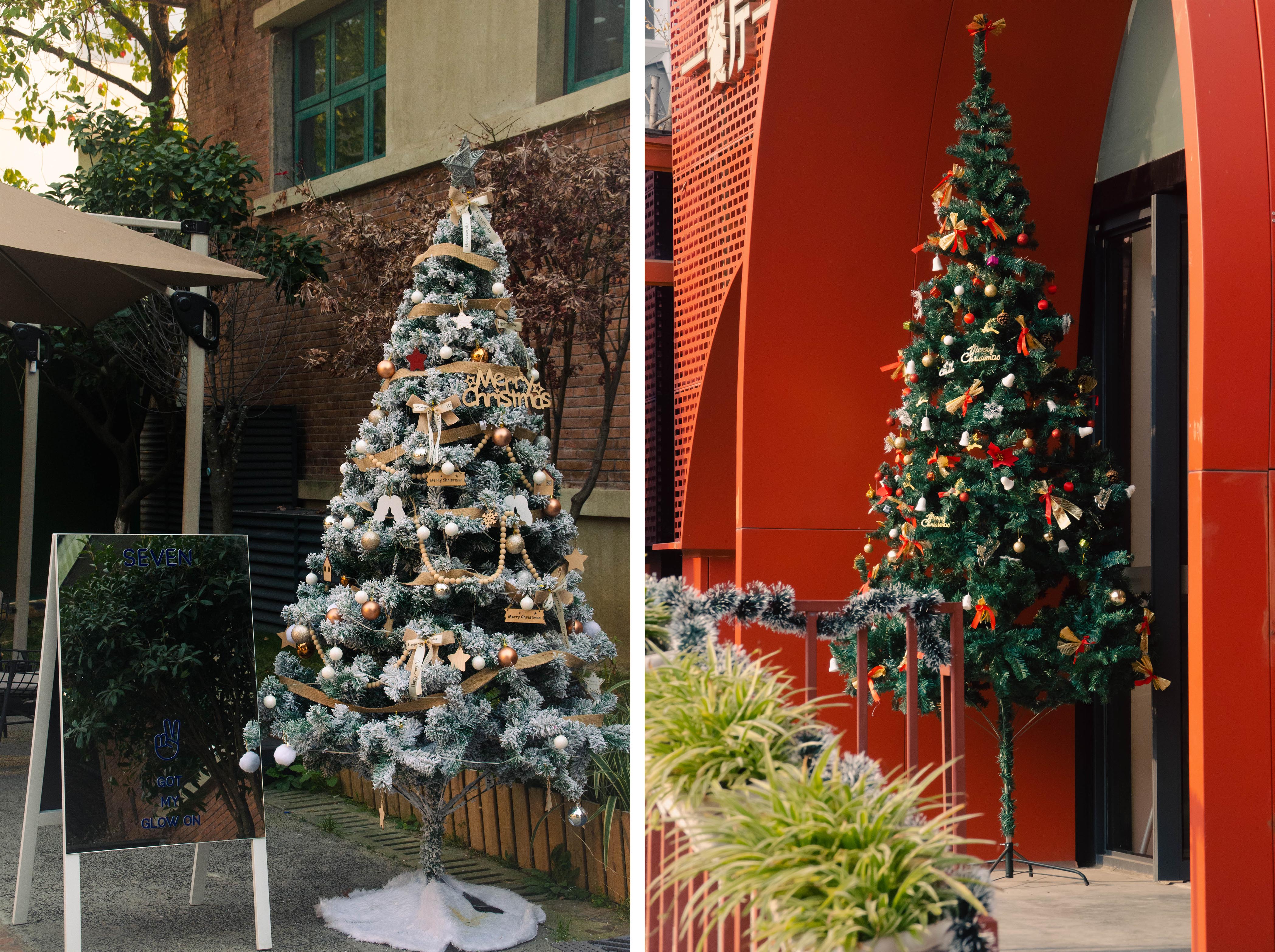 图片: DSC_6766+拷贝+3.jpg