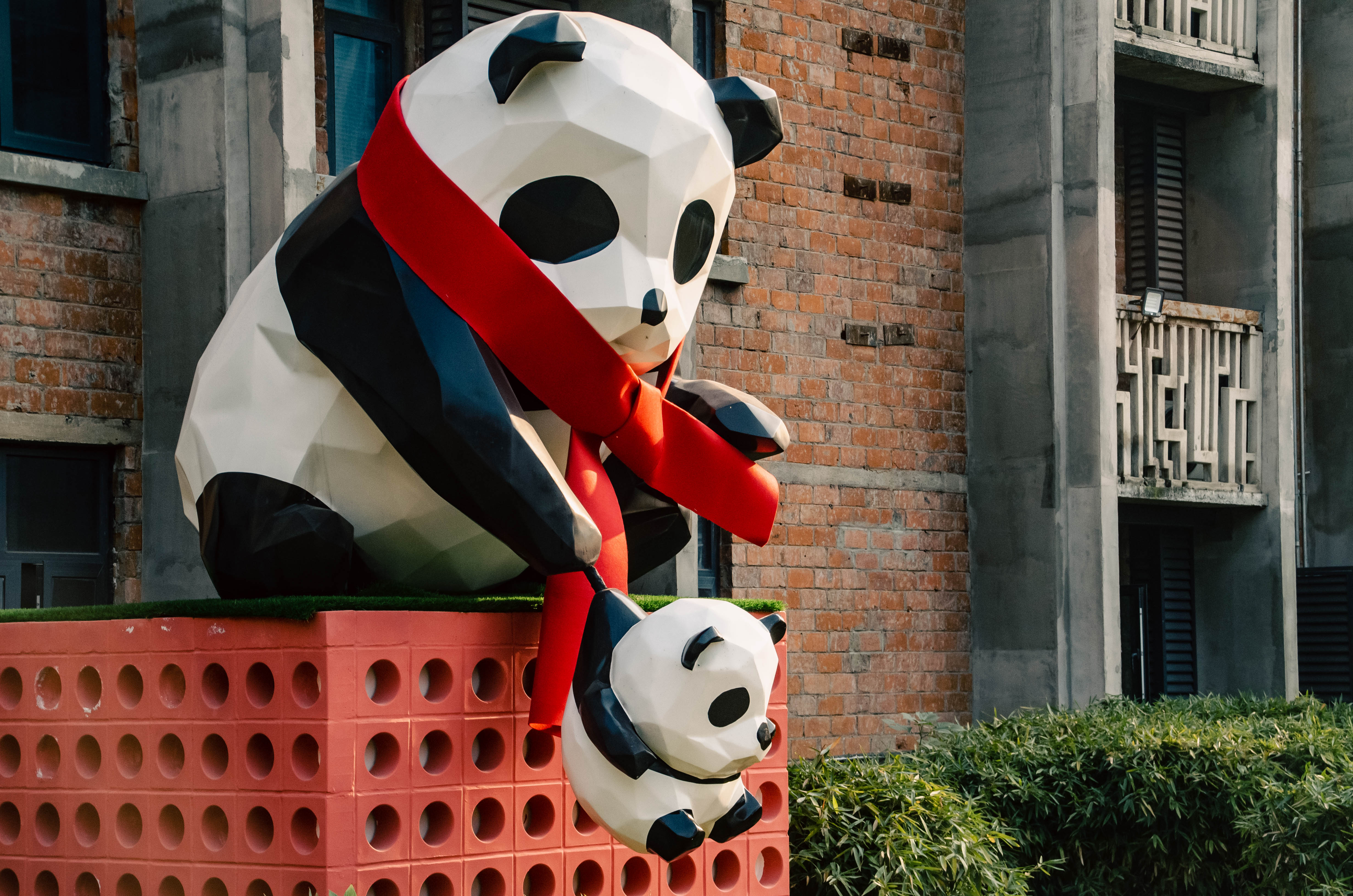 图片: DSC_6736.jpg