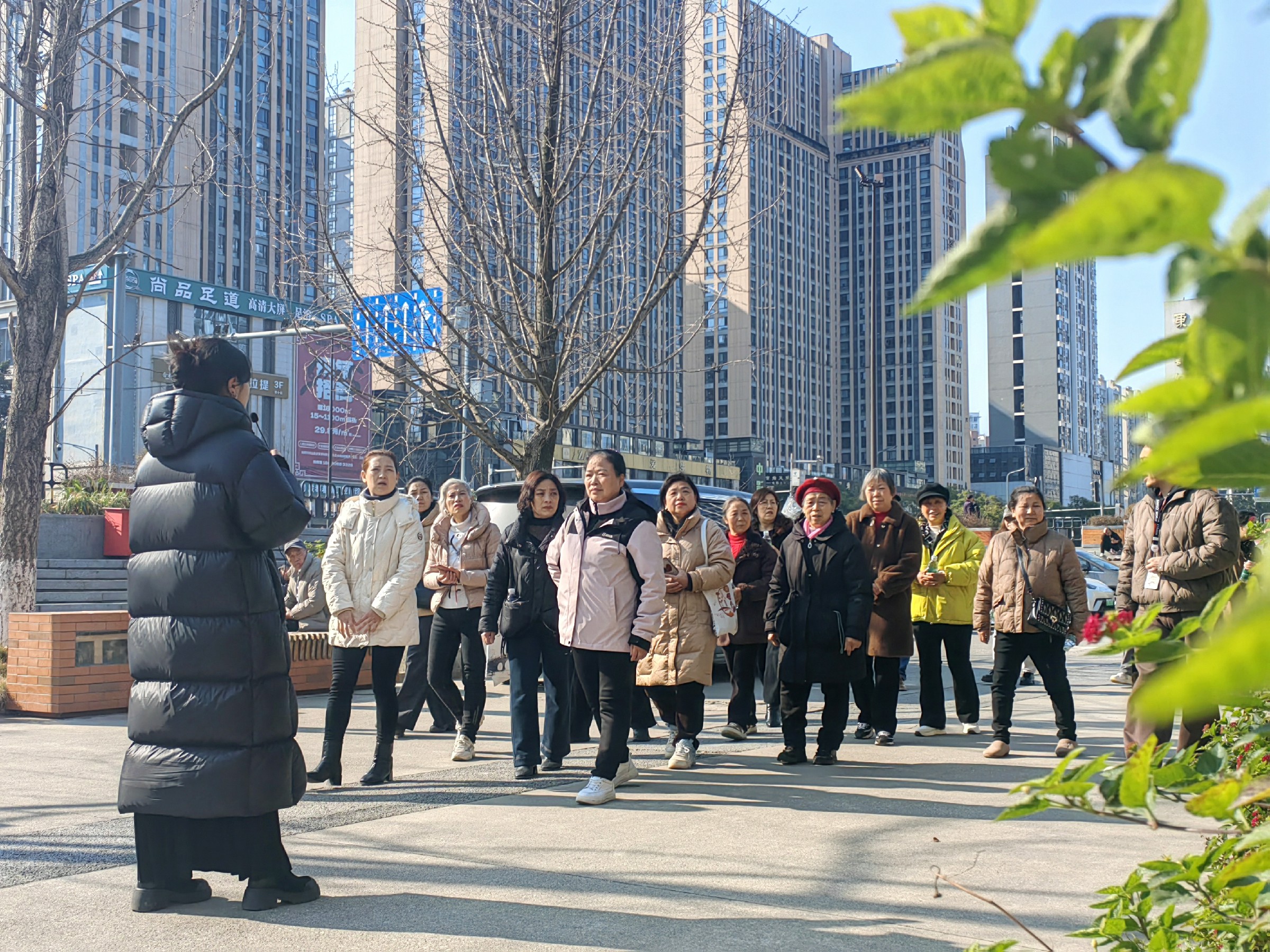 图片: IMG_20260108_142312_edit_148627070790125~1.jpg