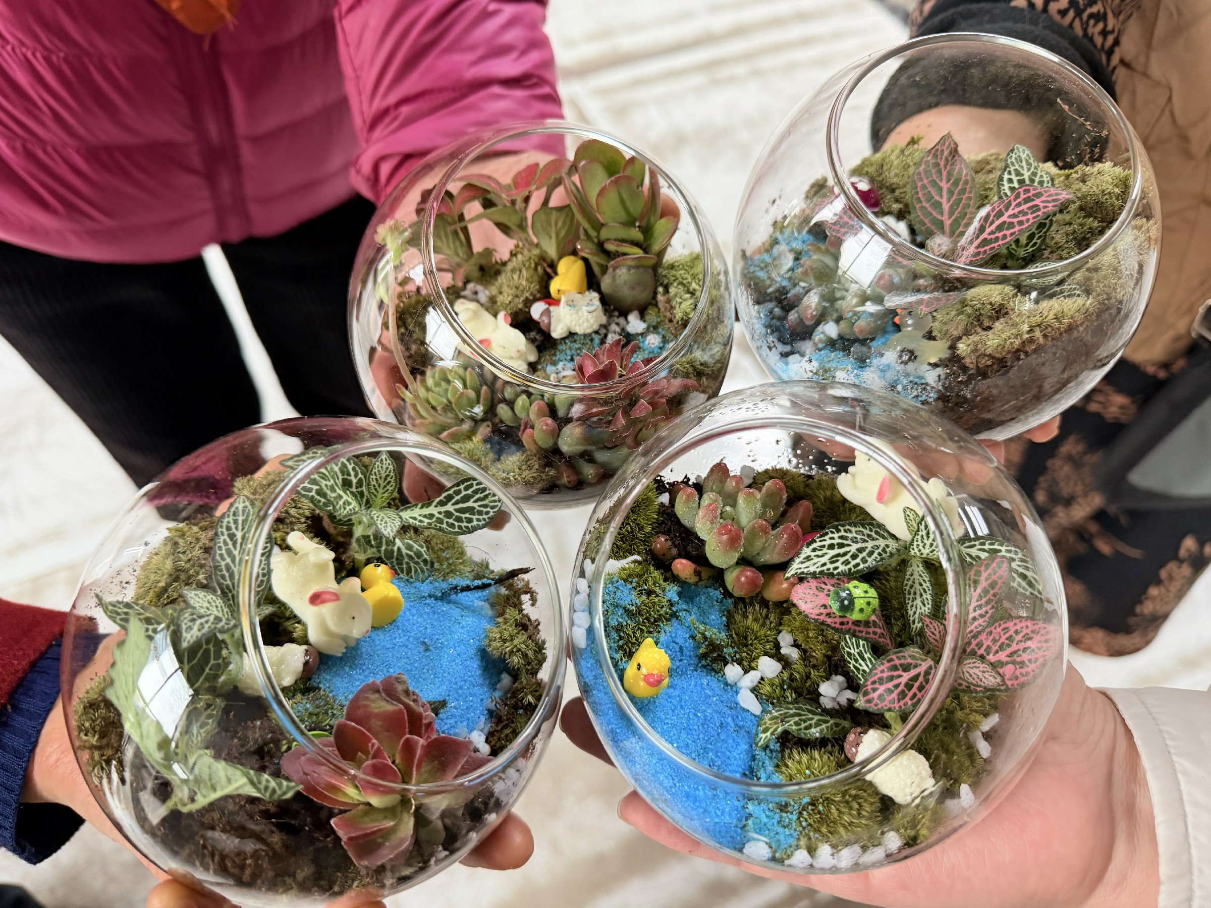 图片: 微信图片_20260312161047~1.jpg