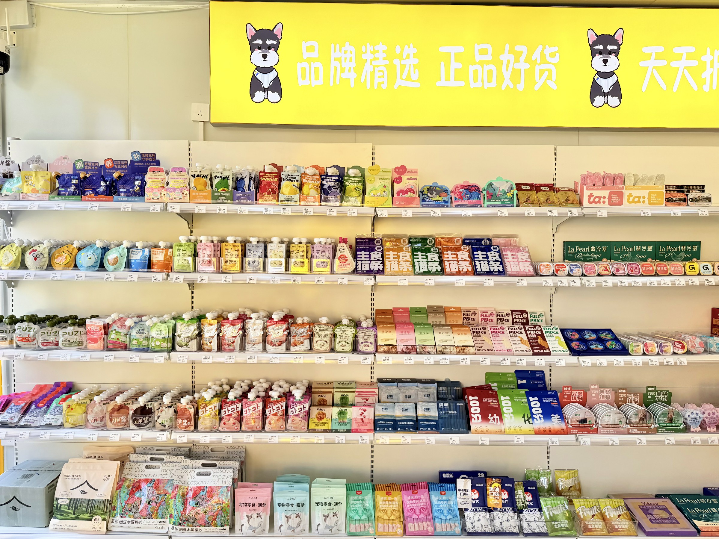 图片: IMG_2305~1.jpg