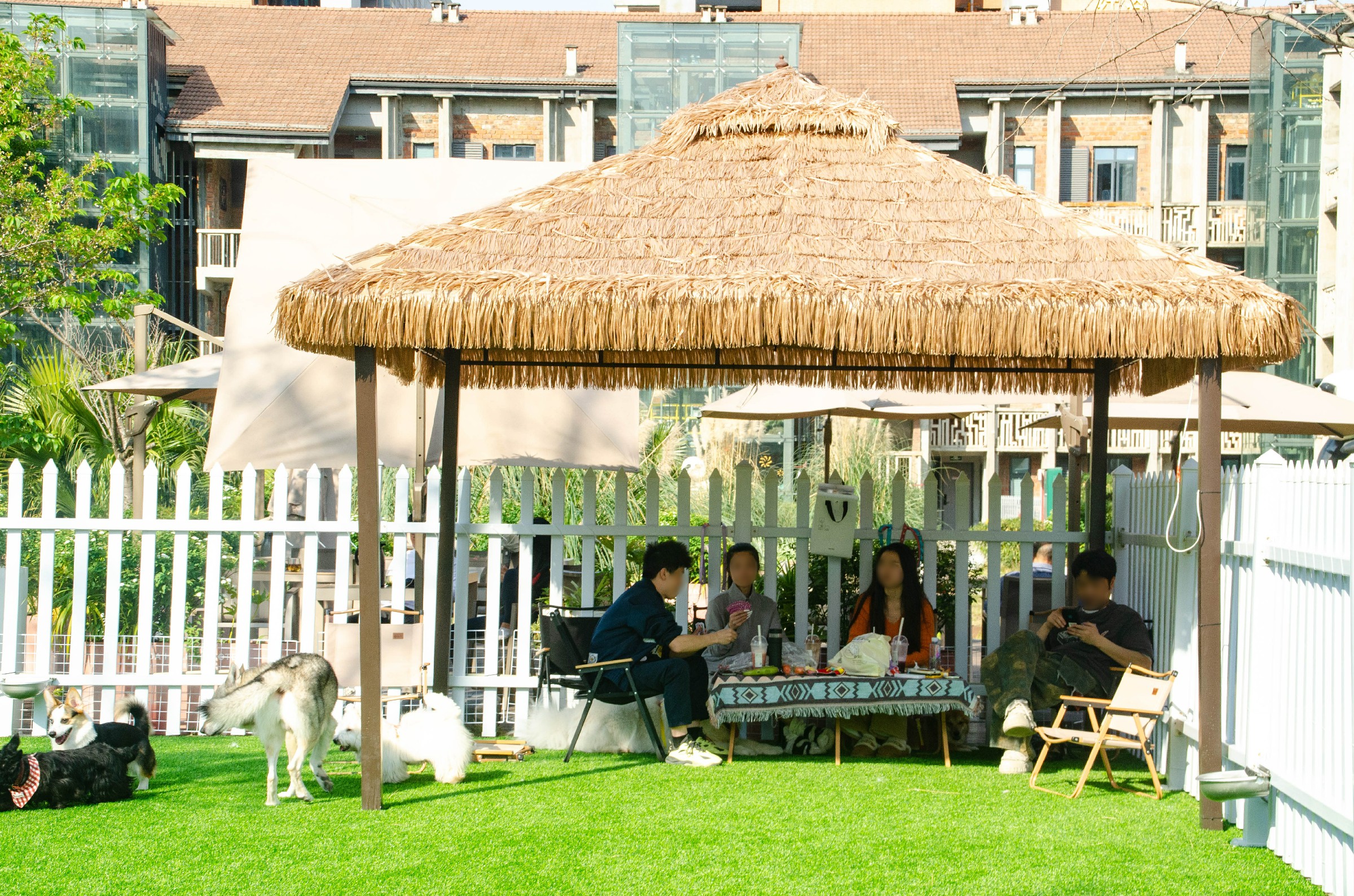 图片: DSC_7444_副本~1.jpg