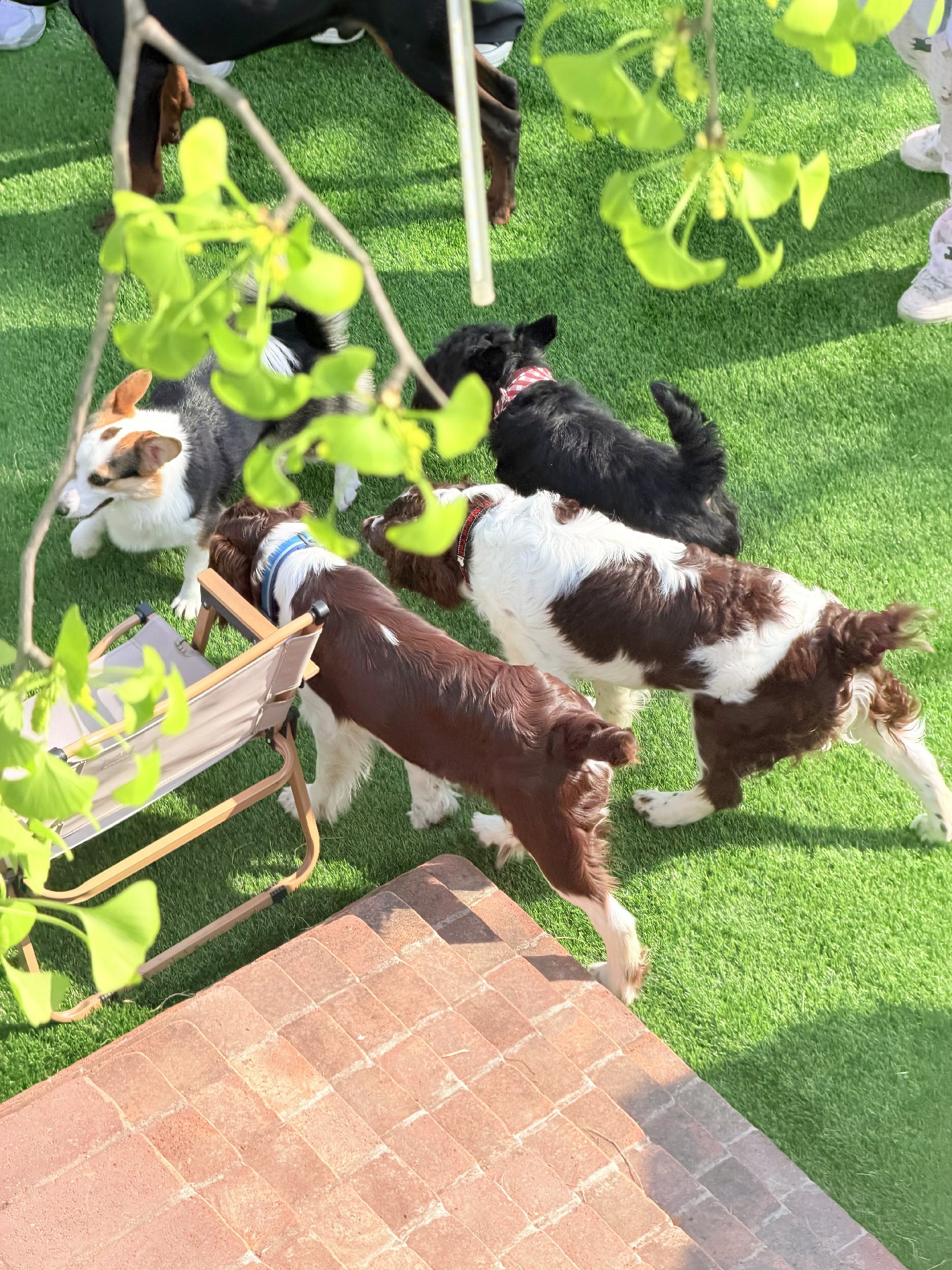 图片: IMG_2323~1.jpg