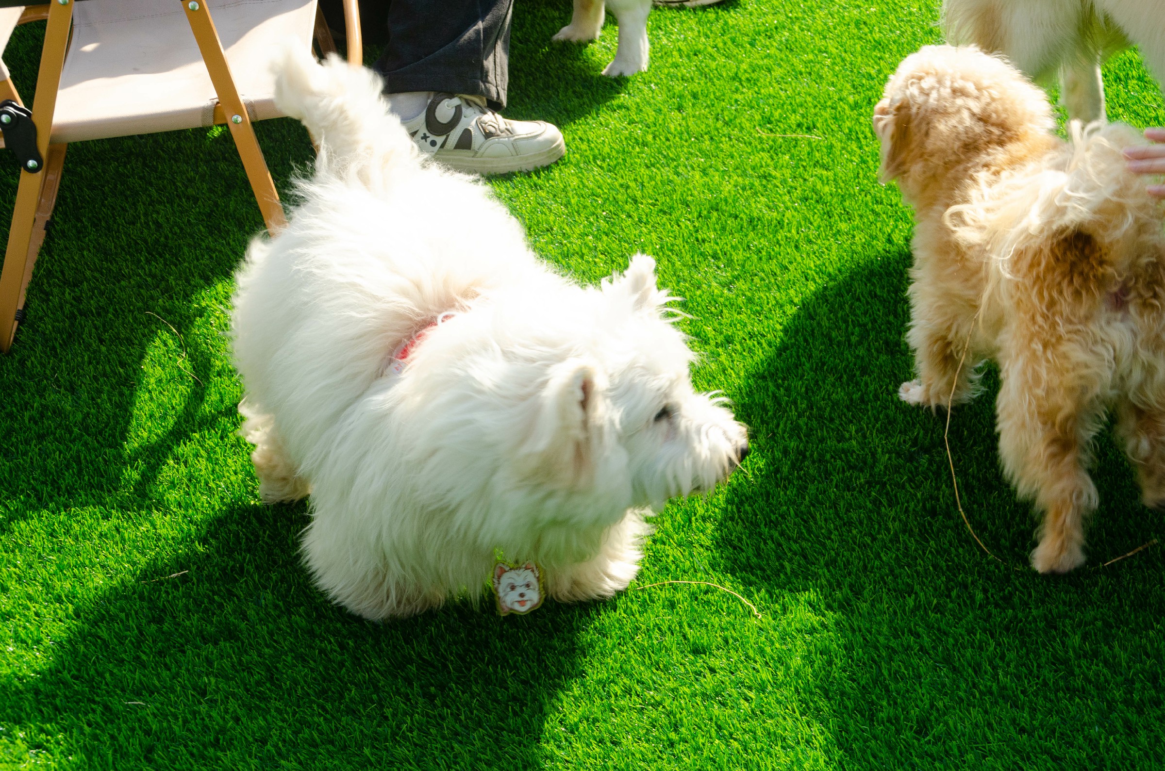 图片: DSC_7450~1.jpg