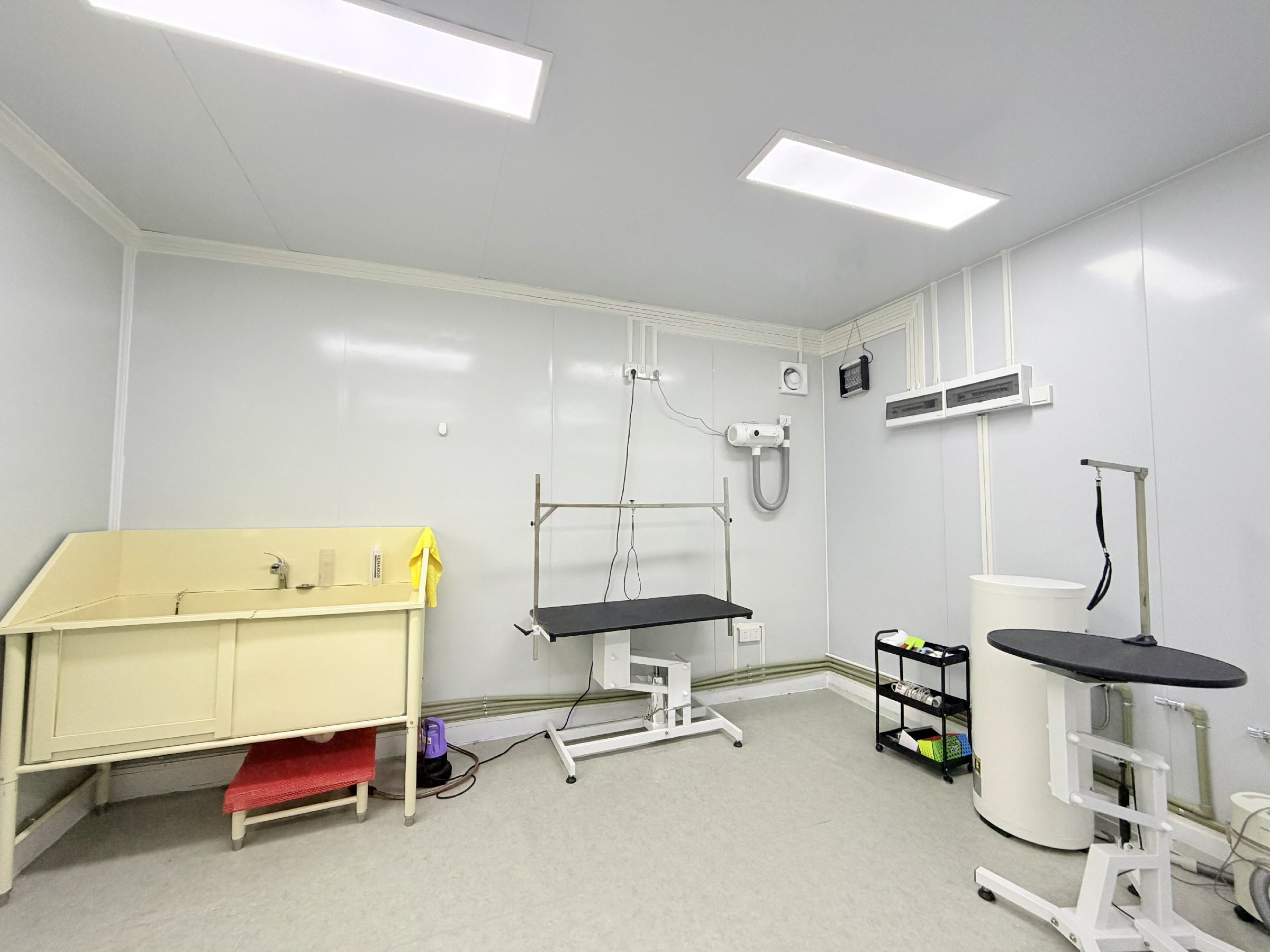 图片: IMG_2438~1.jpg