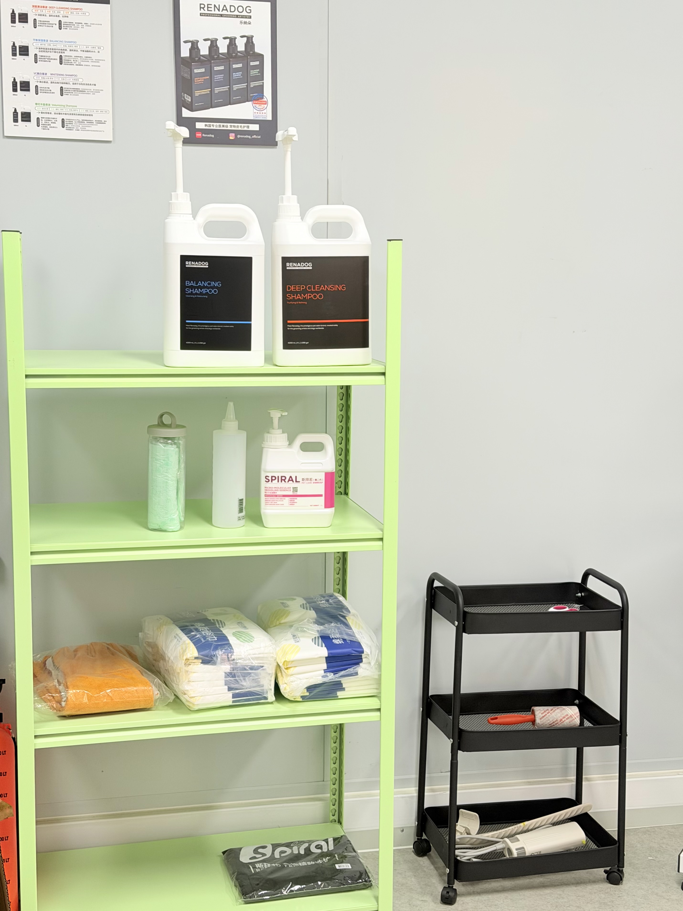 图片: IMG_2434.jpg