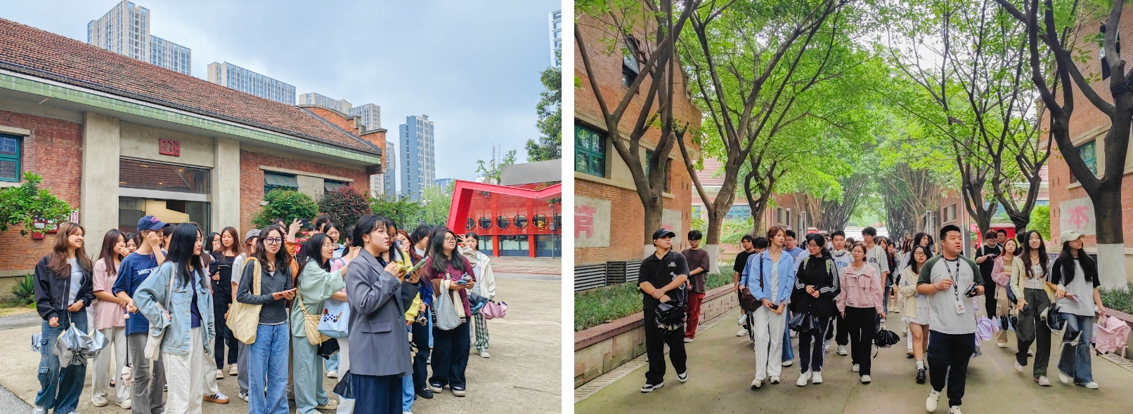 图片: 微信截图_20250605131519.png