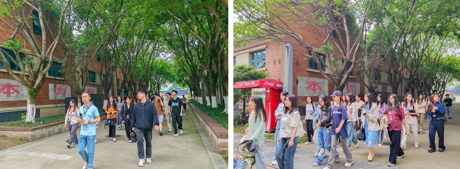 图片: 微信截图_20250605131528.png