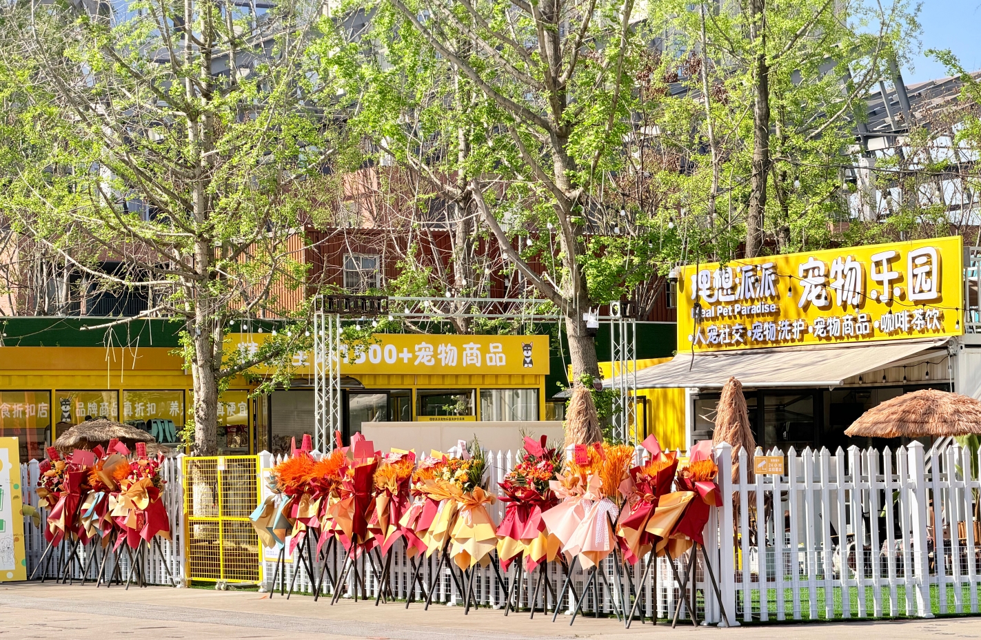 图片: 微信截图_20260403102745.png